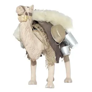 Cammello in piedi bardato