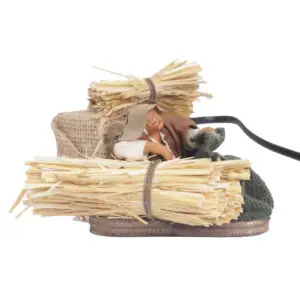 Dormiente Che Si Copre