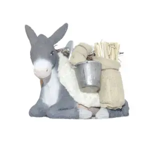 Asino bardato seduto