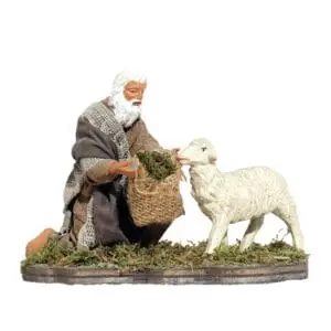 Uomo in Ginocchio che da a Mangiare Pecora