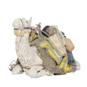 Cammello seduto con cesto con bimbo