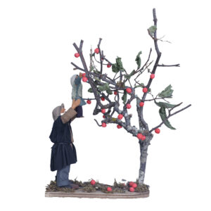 Papà Con Bimbo Che Raccoglie Frutta