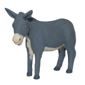 Asino In Piedi Decorato