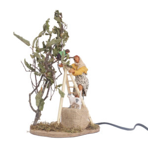 Donna Su Scala con Bimbo e Albero